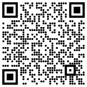 WeaveGrid Tesla Virtual Key QR Code